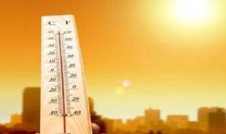 درجات
      الحرارة
      المتوقعة
      اليوم
      الثلاثاء
      5
      أغسطس
      2025
      فى
      مصر