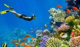 تليجراف
      تختار
      منتجعات
      البحر
      الأحمر
      من
      بين
      أفضل
      10
      وجهات
      سفر
      فى
      سبتمبر