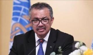 الصحة
      العالمية:
      جدرى
      القرود
      سجل
      3924
      إصابة
      و30
      حالة
      وفاة
      فى
      47
      دولة
