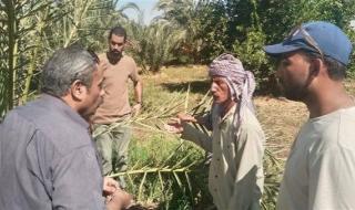أخبار
      الوادي
      الجديد
      |
      متابعات
      ميدانية
      للقضاء
      على
      سوسة