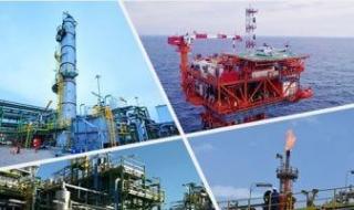 الحكومة:
      طفرة
      إنتاجية
      فى
      قطاعات
      متعددة
      بالصناعات
      المصرية