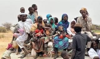 المتمردون
      يقومون
      باحتلال
      استيطاني
      في
      السودان