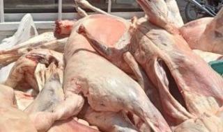 حقيقة
      ضبط
      لحوم
      كلاب
      مجهزة
      للاستهلاك
      الأدمى
      فى
      الجيزة..
      التفاصيل
      الكاملة
