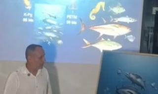 جامعة
      المنصورة:
      اكتشاف
      موقع
      أحفوري
      نادر
      عمره
      62
      مليون
      سنة