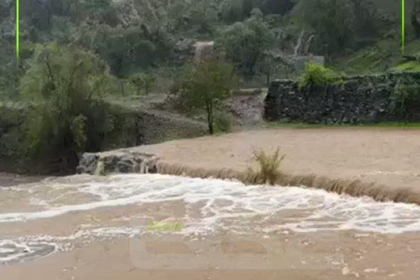 #فيديو| السيول التي شهدتها قرى بني مالك جنوب الطائف.. محمد الحشري