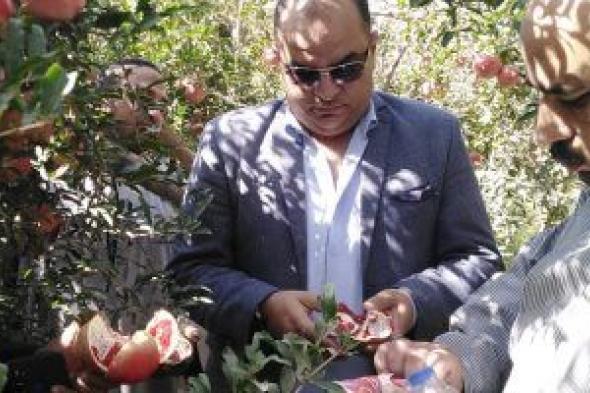 الحجر الزراعى: صادراتنا زادت 800 ألف طن وافتتحنا 80 سوقا جديدا فى 5 سنوات