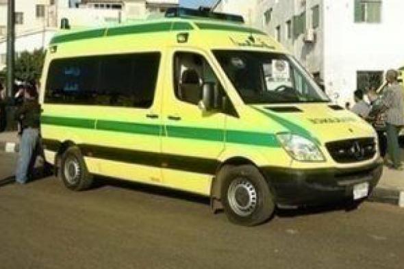لص يتسبب في إصابة شخص بطعنات نافذة في الصدر بالدقهلية