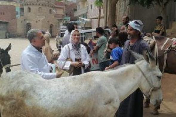 جامعة الزقازيق توجه قافلة طبية توعوية شاملة لقرية بني شبل بالشرقية