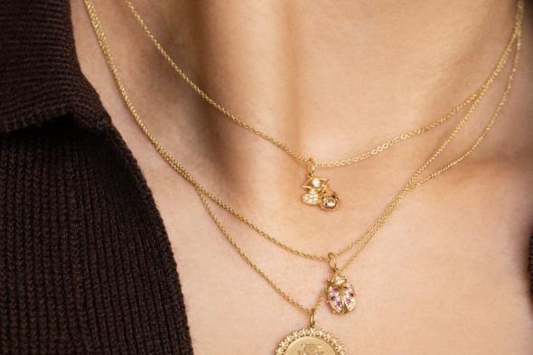 ماذا يعني رمز الدعسوقة في عالم المجوهرات؟