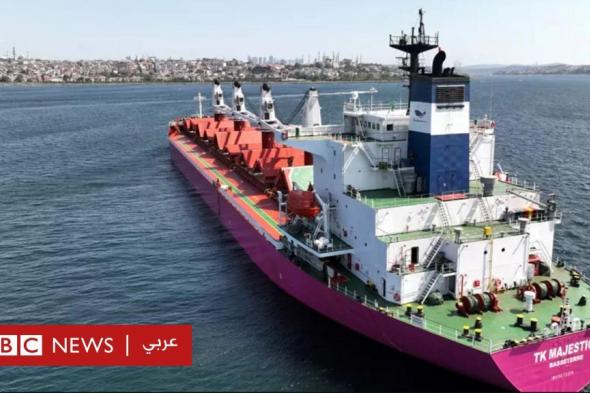 قال الأمين العام للأمم المتحدة إن مئات الملايين في العالم "سيدفعون ثمن" قرار روسيا الانسحاب من اتفاق تصدير الحبوب الأوكرانية