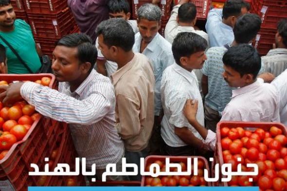 أسعار الطماطم في #الهند ترتفع 8 أضعاف في زيادة غير مسبوقة تضرب #المستهلكين وقد تجعل المزارعين أثرياء! #الأسواق_العربية