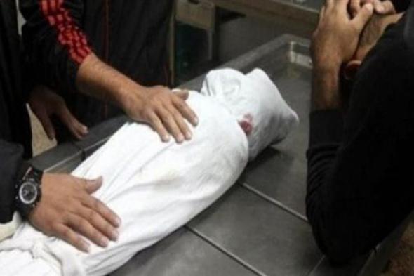 تفاصيل مصرع طفل تعرض للغرق بنهر النيل في الحوامدية