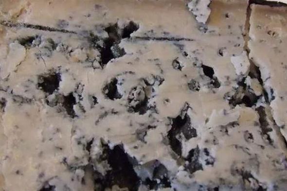 تعرف على أغلى قطعة جبن في العالم