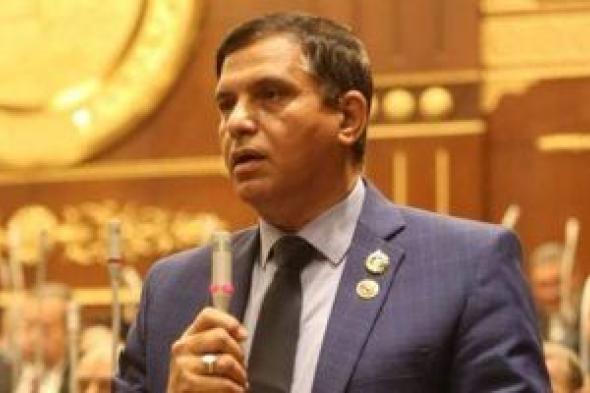 "دفاع الشيوخ": لا تنازل عن قضية فلسطين ولدينا رئيس يعرف كيفية الحفاظ على الأمن القومي