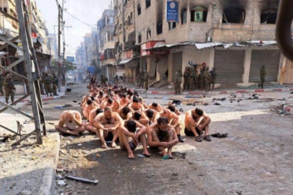 بعد تهنئة داليا زيادة لجيش الاحتلال، صحيفة عبرية تكشف تفاصيل صورة الفلسطينيين العراةالأحد 10/ديسمبر/2023 - 07:21 م
كانت قد اعلنت كتائب القسام – الجناح العسكري لحركة حماس مساء اليوم الاحد استهداف ناقلة جند صهيونية بقذيفة الياسين 105 شرق حي الزيتون بمدينة غزة.