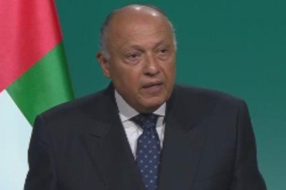 مصر تدين الهجوم الإرهابى على موقع أردنى بالحدود مع سوريا