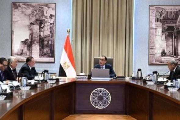 الحكومة تناقش أسعار توريد أردب القمح.. وتوجه بزيادتها دعمًا للفلاح