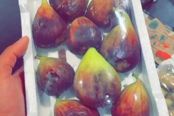 التين لعلاج الامساك