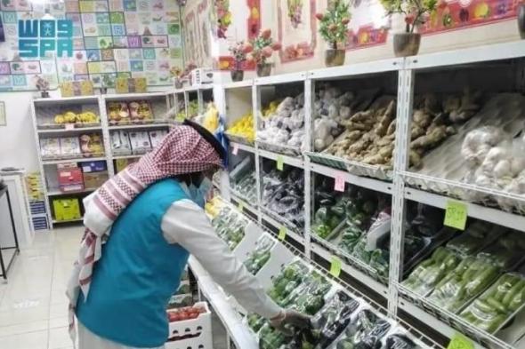 714 جولة رقابية في الخبراء