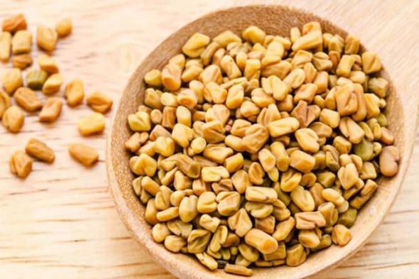 الحلبة والعسل.. إكسير الخصوبة والسعادة الزوجية