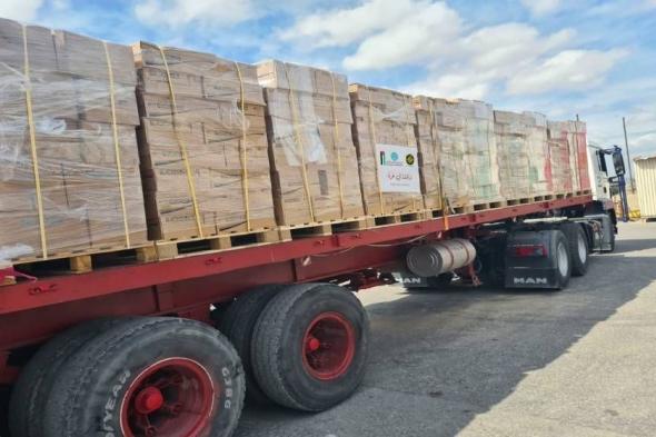 الأمم المتحدة: دخول المساعدات لغزة انخفض بنسبة 67% منذ غزو رفحالأربعاء 29/مايو/2024 - 10:46 م
وأكد دوجاريك علي أن القصف الإسرائيلي المكثف علي رفح جنوب القطاع، وانخفاض كميات المساعدات التي تدخل غزة