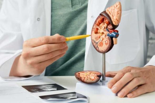 لاتغفلي عنها.. طرق فعالة لعلاج ألم الكلى وكيفية التعامل معه