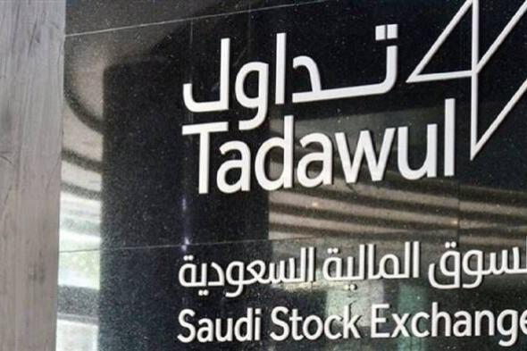 الاستثمار الأجنبي في السوق المالية السعودية يرتفع 7.7% خلال 2023