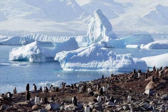 أفضل 5 وجهات بحرية استثنائية لا تفوت زيارتها هذا العام #سياحة