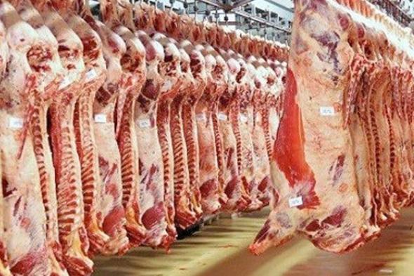 انخفاض أسعار لحوم «البتلو» بالأسواق اليوم الإثنين 4/11/2024الإثنين 04/نوفمبر/2024 - 09:50 م
أسعار اللحوم الحمراء «البتلو» في الأسواق «فيتو» تستعرض أسعار اللحوم الحمراء البتلو الصافي في محال الجزارة، فضلًا عن سعر لحوم البتلو بالعظم اليوم في السوق، في السطور الآتية: