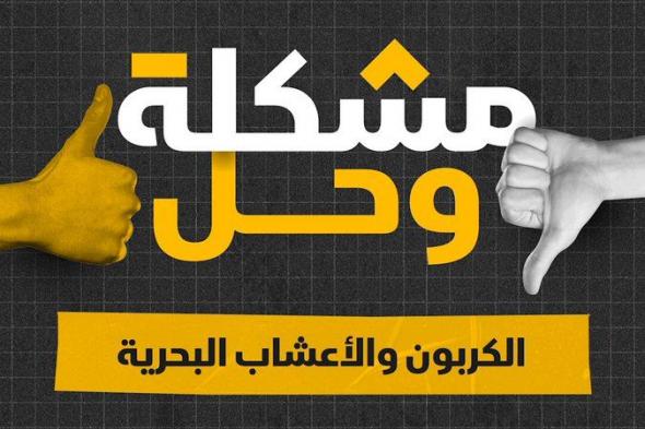 الكربون الكاريزمي، اسم جديد أطلقه العلماء على الأعشاب البحرية، التي قد تساعد العالم في تحقيق أهداف اتفاقية باريس للمناخ! بحلقة جديدة من #مشكلة_وحل #اقتصاد_الشرق