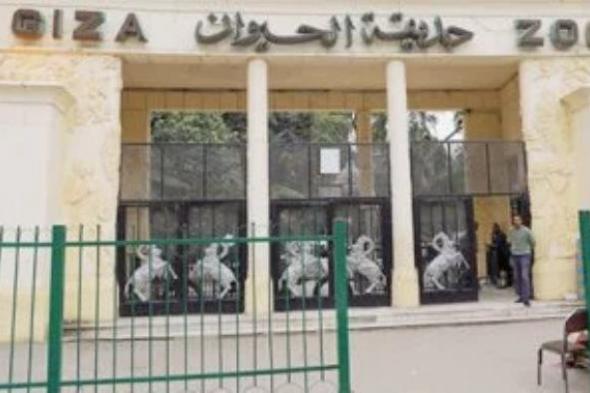 تزويد
      حديقة
      حيوان
      الجيزة
      بـ362
      حيوانا
      جديدا
      من
      الخارج