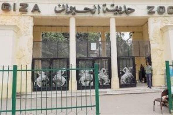 تزويد
      حديقة
      حيوان
      الجيزة
      بـ362
      حيوانا
      جديدا
      من
      الخارج