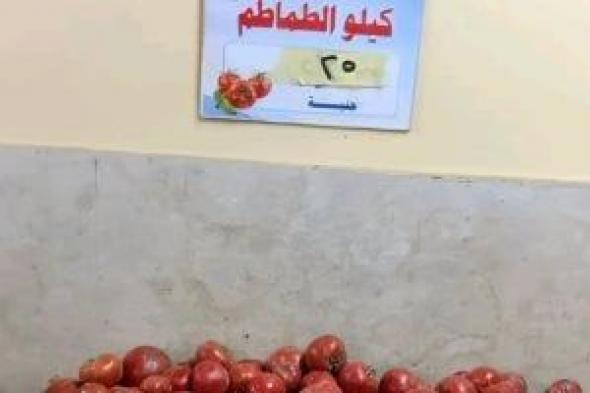 وزارة
      التموين
      تطرح
      الطماطم
      بـ
      23
      جنيها
      للكيلو